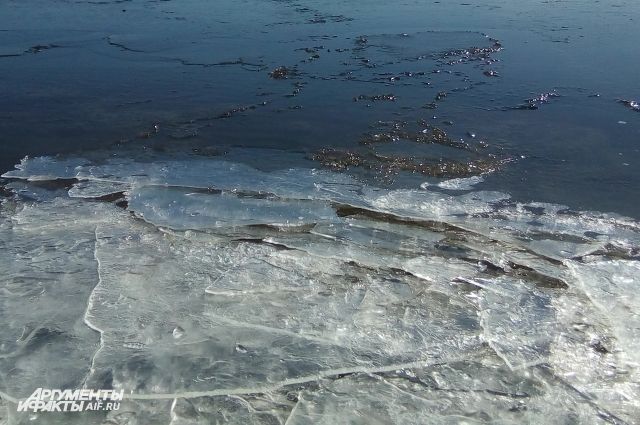 Несмотря на запреты и предупреждения, калининградские рыбаки продолжают испытывать лёд на прочность.