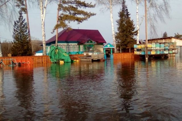 Паводок в Усть-Козлухе, март 2018