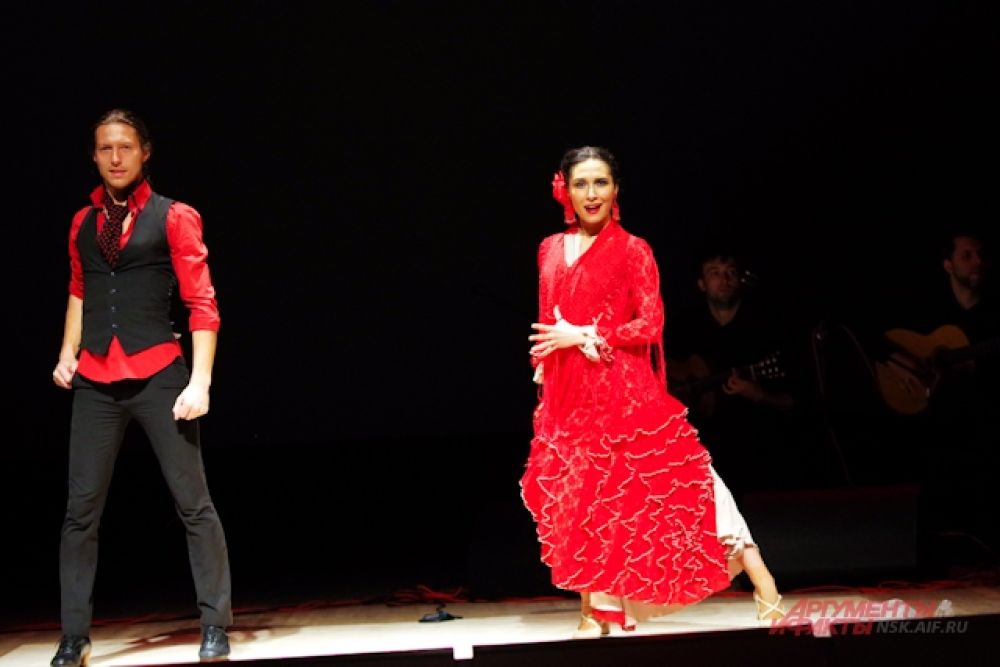 Flamenco Live – это уникальный арт-проект, объединивший в себе профессиональных артистов международного уровня, исполняющих живое, органичное и искреннее испанское фламенко. 