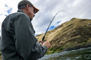 В Украине с апреля вводится запрет на рыбную ловлю