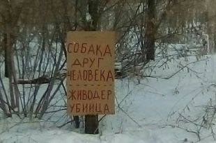 Проблема с бездомными животными никого не оставляет равнодушными, только у каждого вызывает разные эмоции.