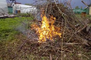 В Украине увеличат штрафы за самовольное сжигание сорняков на участках