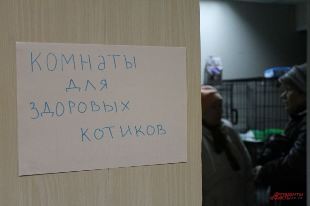 В новом приюте много помещений