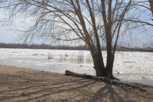 К середине апреля в Омске ожижается ледоход.