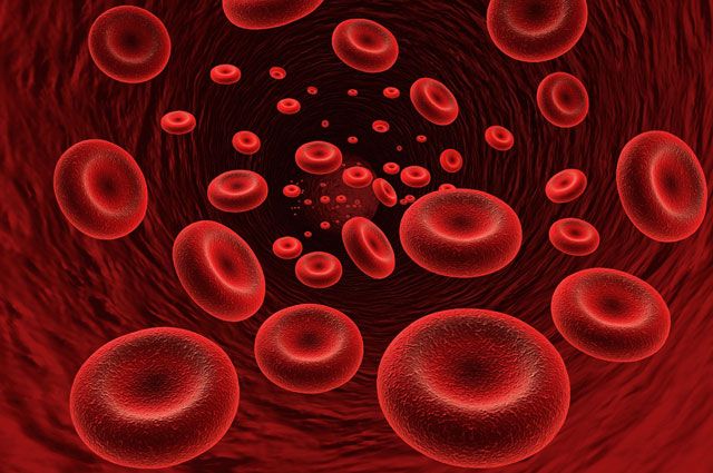 Что такое анемия и можно ли от нее умереть