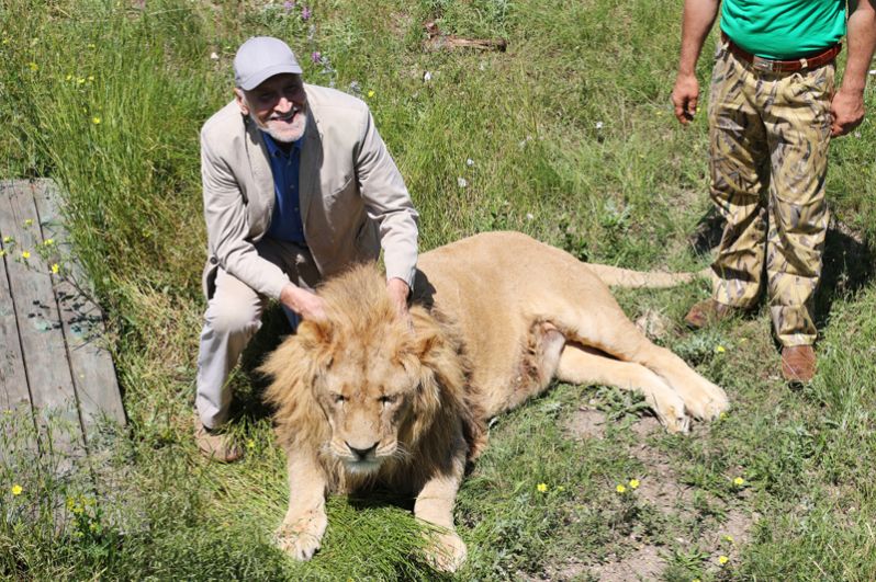 Николай Дроздов приехал в парк львов «Тайган» для съемок телепередач из серии «Лучшие зоопарки мира». 2015 год.