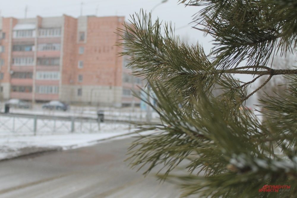 Городские пейзажи напоминают предновогодние