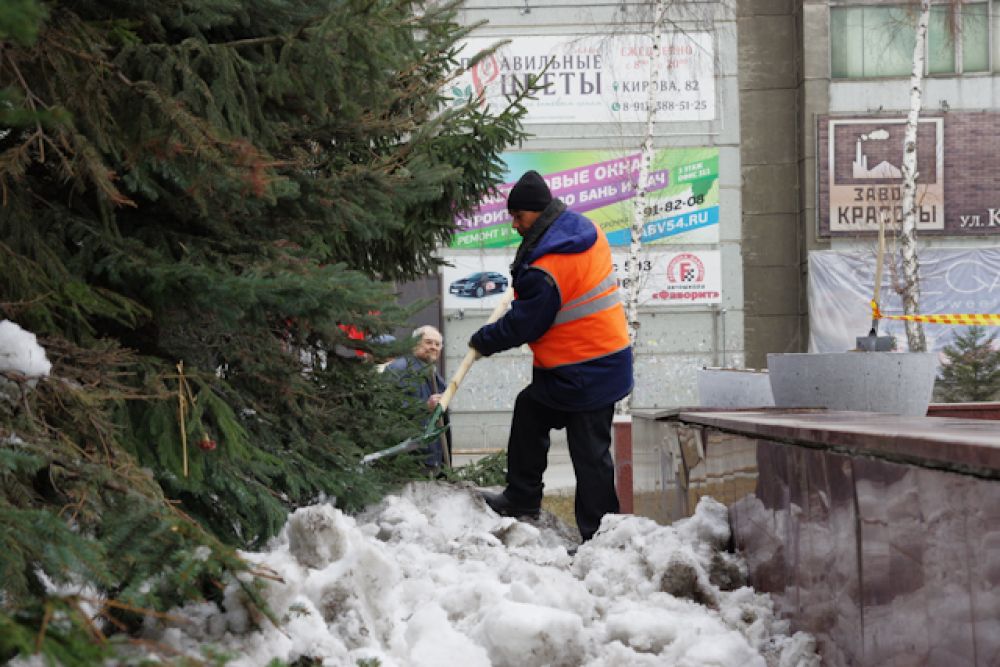 Снежным сугробам не оставляли шансов на выживание.