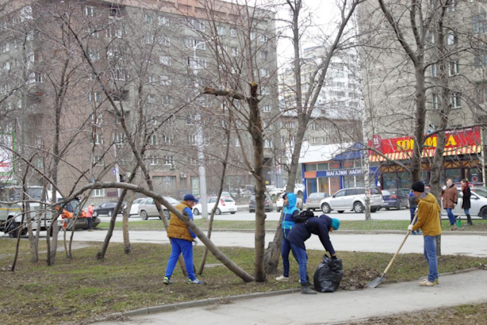 В общегородском санитарном дне приняли участие 99 302 человека. Работы были организованы во всех районах города.