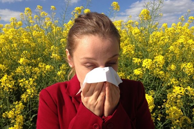 В донском регионе уже наблюдается наличие в воздухе пыльцы ольхи и берёзы, которая раздражает аллергиков.
