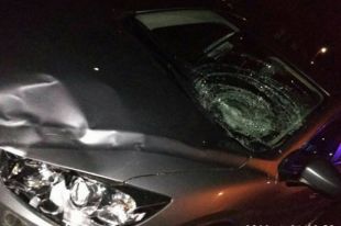 Во Львовской области пьяный водитель сбил патрульного