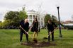 Президент США Дональд Трамп и президент Франции Эммануэль Макрон сажают дуб на южной лужайке Белого дома в Вашингтоне, США.