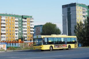 Когда дошколят необходимо вывезти на общегородское мероприятие, воспитатели просят родителей-автовладельцев помочь в организации перевозки.