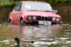 Утка проплывает мимо машины, припаркованной на затопленной улице, прилегающей к Темзе, после того, как река вышла из берегов после сильного дождя в Лондоне, Великобритания.