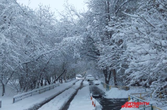 Майский снег - не редкость в Красноярском крае. 