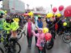 Многие новосибирцы решили принять участие в велопробеге целыми семьями.