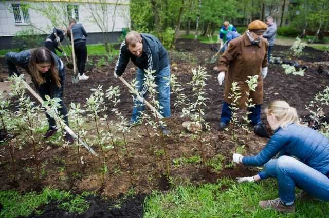 Высадка деревьев и кустарников в рамках акции «Миллион деревьев» на востоке Москвы.