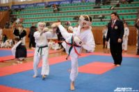 Участие в турнире приняли более 400 спортсменов из 25 регионов России. 
