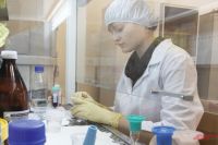 В Сибири несколько организаций занимаются разработками медпрепаратов.