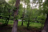 В Вагайском лесничестве предприятие восстановит лес на площади 56 га