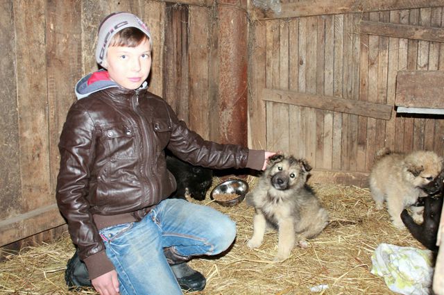 Зуфар Сулейманов организовал приют для бездомных щенков.