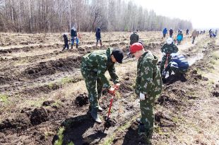 Сотрудники предприятия сажали деревья вместе с детьми.