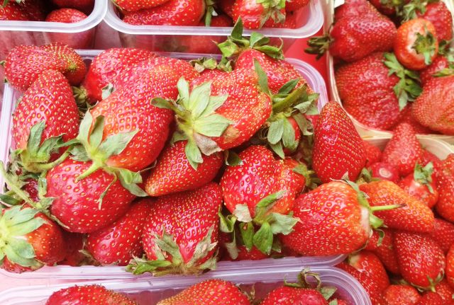 Ростовчане пока все больше любуются ягодой, чем покупают.