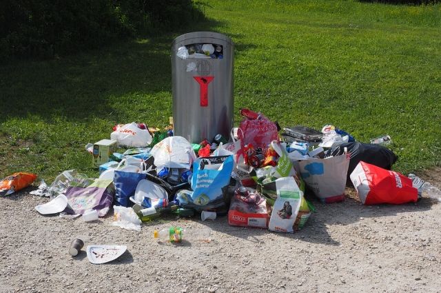 В Нижнем Новгороде стартует всероссийский чемпионат по сбору мусора.