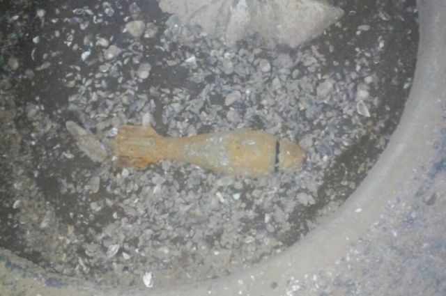 Предмет, который нашёл мужчина, - 50-мм минометная мина. Взрывотехники провели обследование мины и сделали вывод, что боеприпас не представляет угрозы для жизни и здоровья людей. 