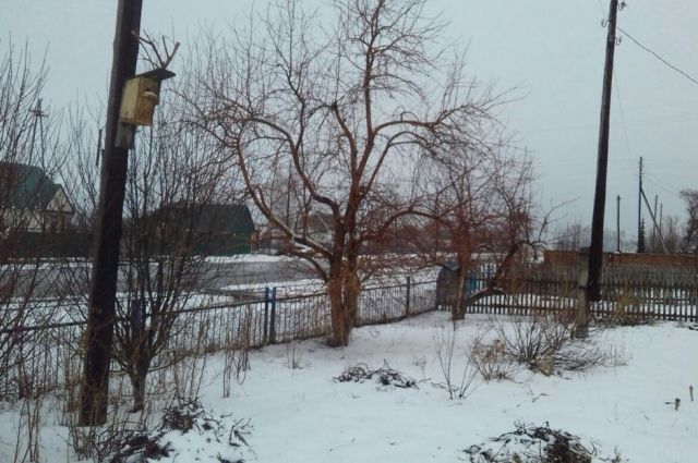 Весь май в Омске очень холодный.