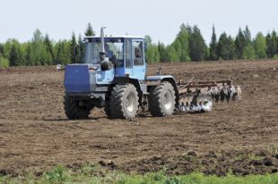 В Прикамье хорошо растут бобовые и злаковые травы.