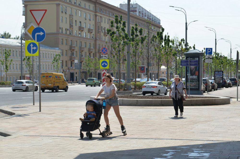 Необычные для города кустарники – бузина, лещина, бересклет и калина - расцветут возле метро Краснопресненская и Баррикадная.
