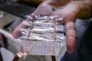 В Японии ученые создали робота с биологическими мышцами