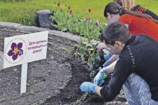 25 мая всем цветам волонтёры предпочитают незабудки - это символ памяти о бесследно пропавших детях.