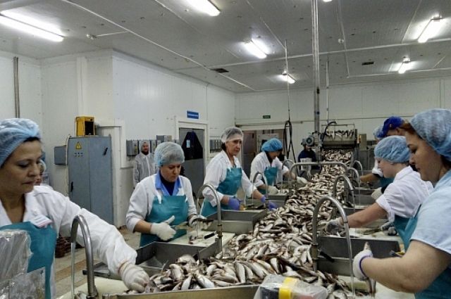 Ямальскую рыбу будут перерабатывать непосредственно на месте улова