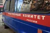 Подозреваемый в преступлении против малолетней в Червишево был в Омске