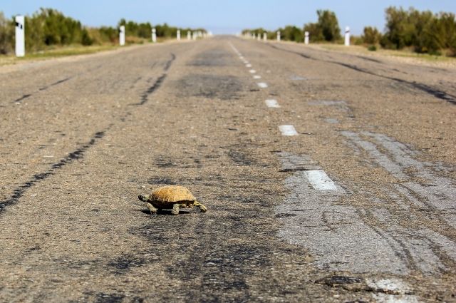 В Восточном округе Тюмени проводится масштабный ремонт дороги
