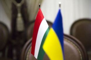 Совет Европы: Венгры в Украине гордятся незнанием украинского языка