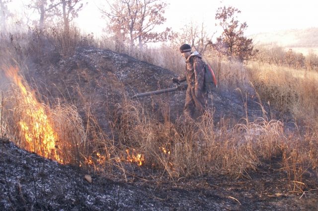 За минувший месяц на территории края было зафиксировано 13 лесных пожаров. Все они были ликвидированы в течение первых суток. 