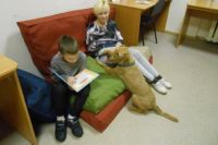 Детям помогают три собаки канистерапевта Елены Дюковой – ирландский терьер Ника, бордер-колли Кода и шелти Мона. 