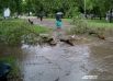 В сквере Уральских добровольцев поломало деревья.