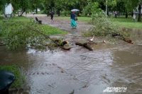 Ураганный ветер в Перми валил деревья и срывал крыши