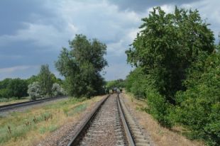 В Николаеве самоубийца бросился под тепловоз: локомотив отрезал ему голову