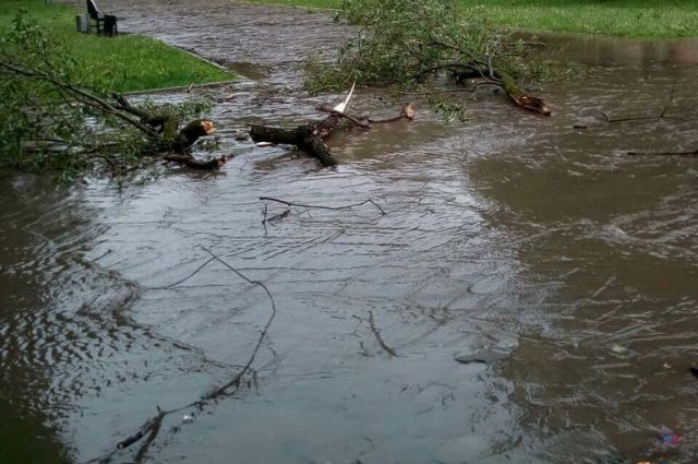 Жители города написали в социальных сетях, что шквалистый ветер ломал деревья, порой вырывая с корнем