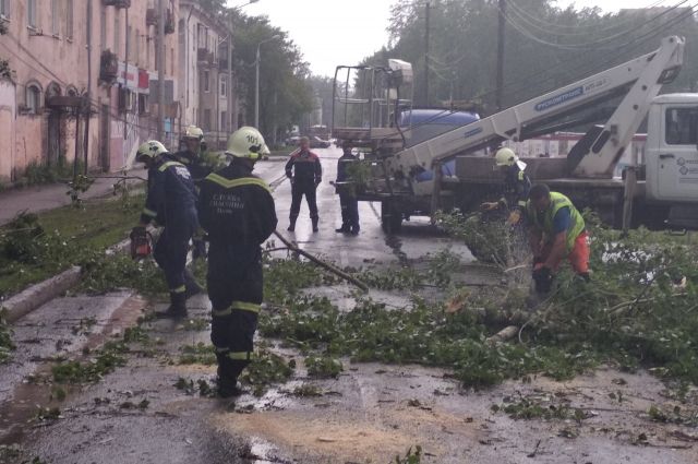 В Перми спасателям пришлось распиливать деревья, которые, падая на дорогу, задели провода