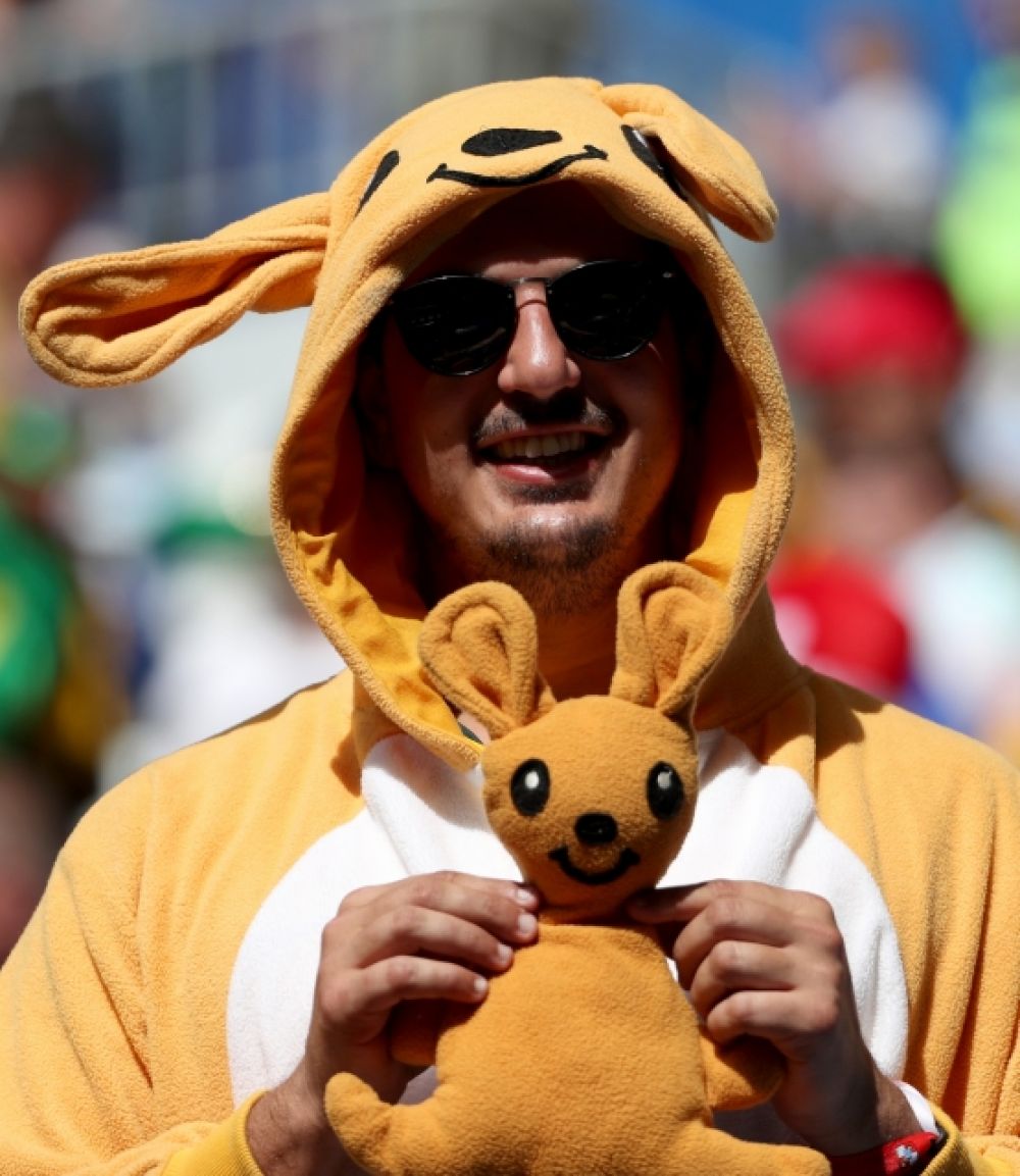Болельщик сборной Австралии в костюме одного из символов страны - кенгуру.