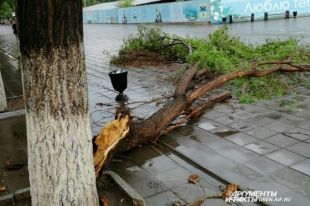 В Оренбурге коммунальщики устраняю последствия урагана.