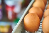 Яйца - один из обязательных продуктов в рационе.