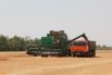 Уборка зерновых в Ростовской области проходит в непростых погодных условиях.