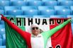 Мексиканский фанат с флагом и сам в костюме-триколоре.